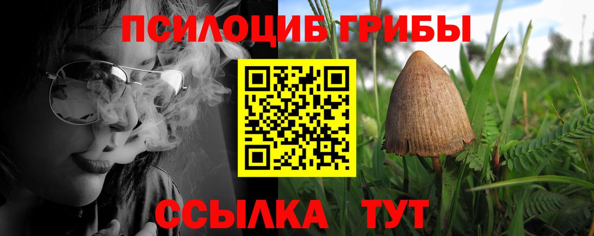 продажа наркотиков  Вход с VPN  Советск  Псилоцибиновые грибы Magic Shrooms 